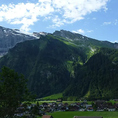 Berg Edelweiss Appartement-fewo 3-bettwohnung By Interhome Appartement Engelberg